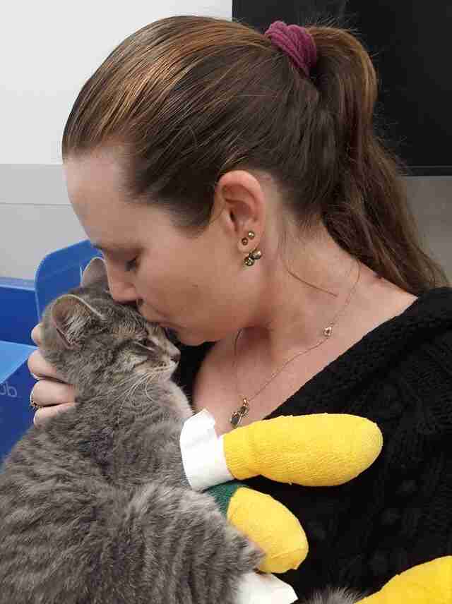 cat rescue fire california