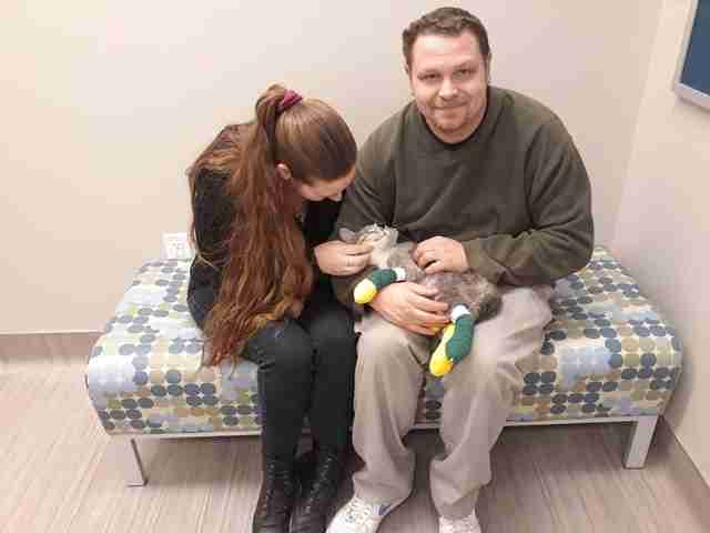 cat rescue california
