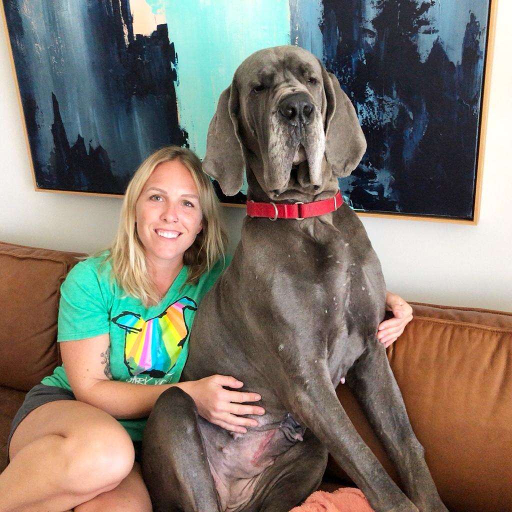 Woman sitting with giant Great Dane