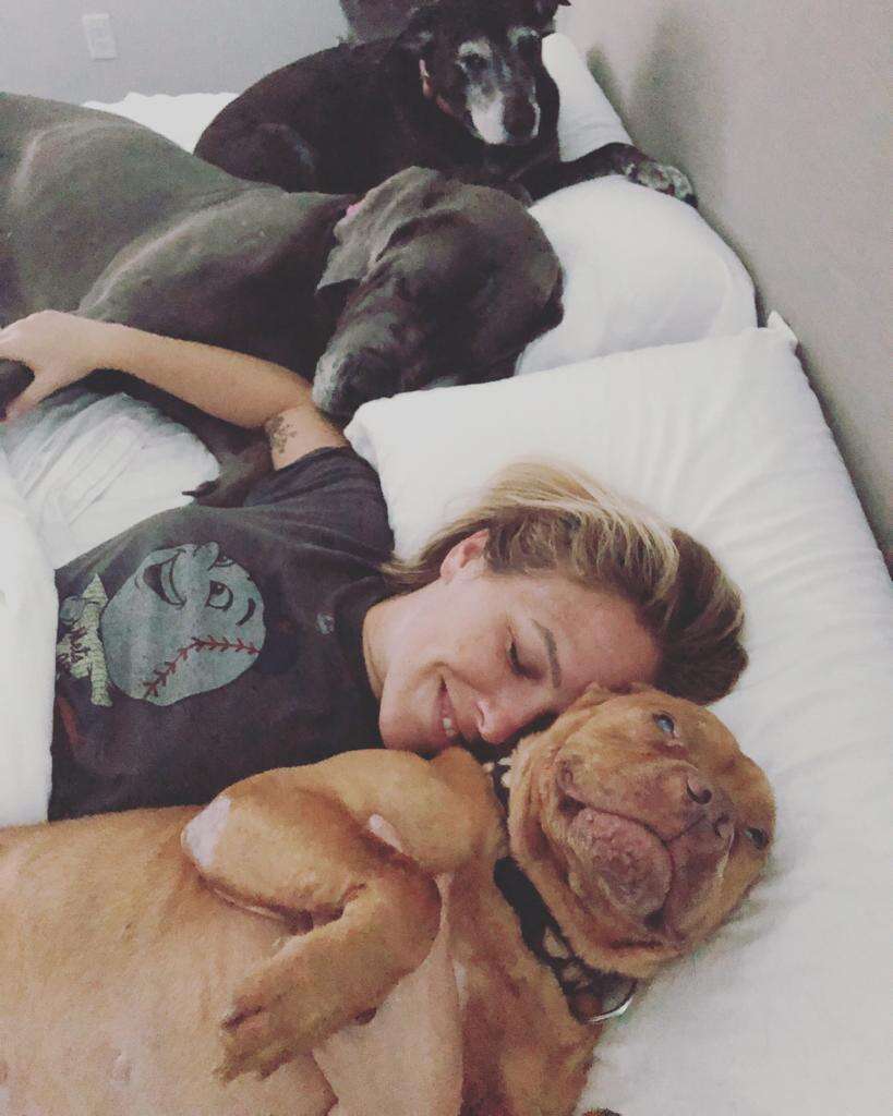 Dogs lying on bed with woman