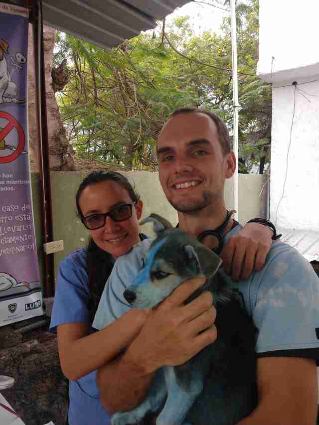People holding dog covered in blue dye