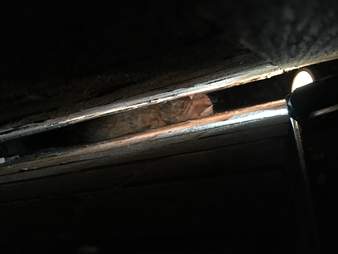 cat stuck between two walls