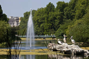St. James's Park, London