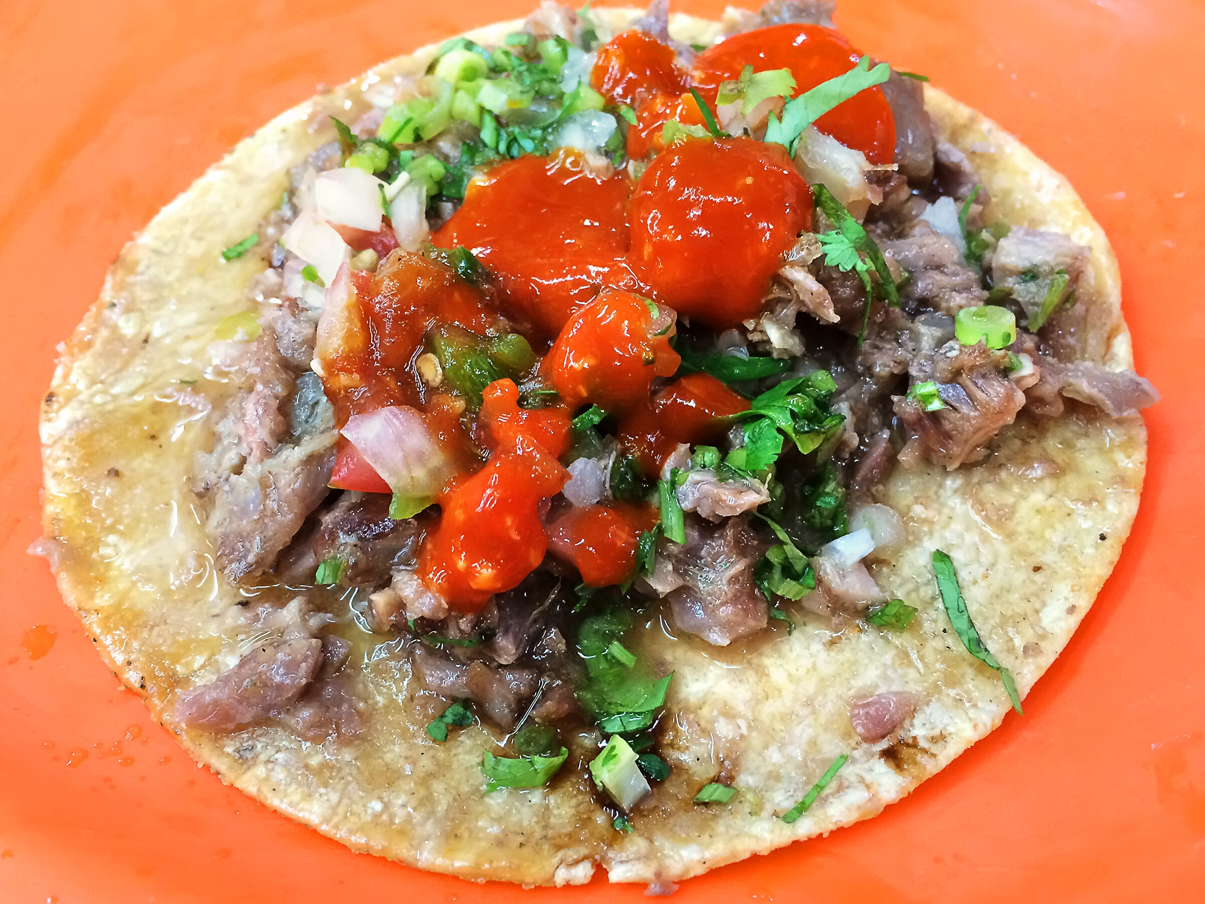 Ananiver Calumnia despierta tacos en ingles Hábil haz Trampolín