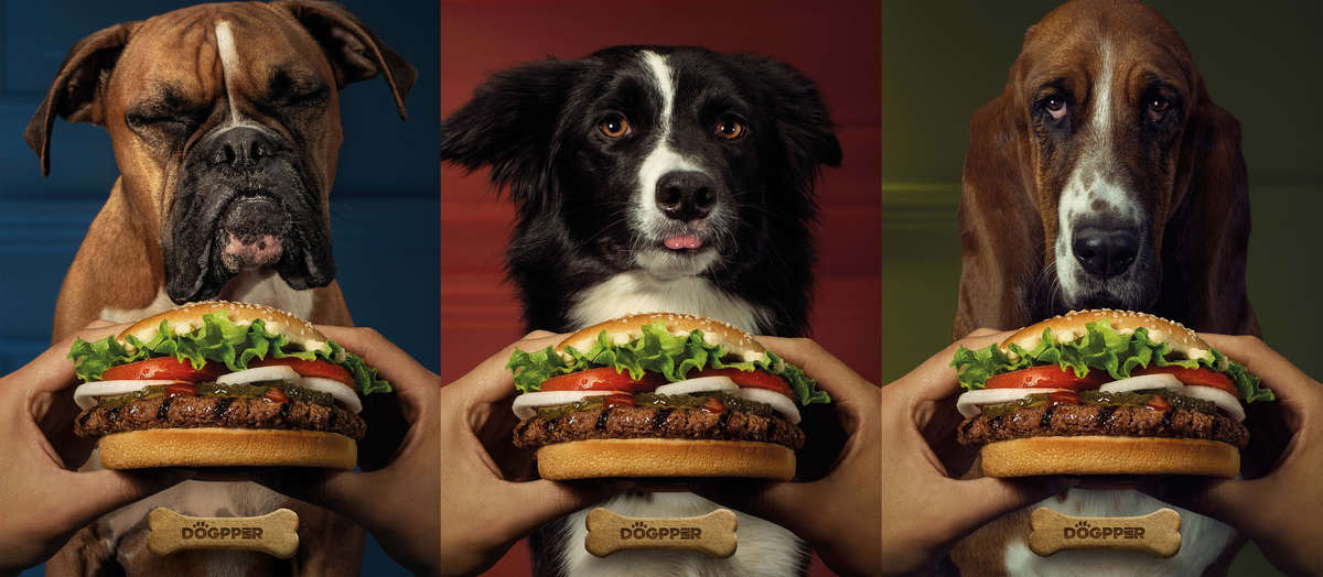 burger-king-s-dogpper-how-to-get-a-whopper-for-your-dog-via-doordash