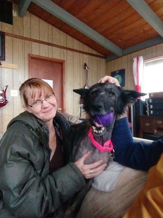 dog rescue pennsylvania