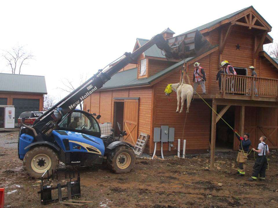 horse rescue hay loft virginia