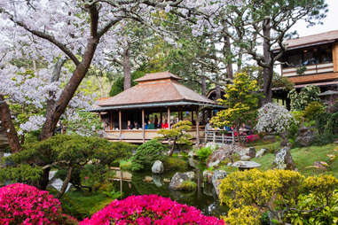 The Japanese Tea Garden at Golden Gate park