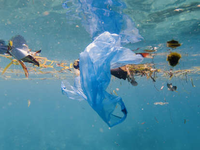 plastic pollution, microplastics
