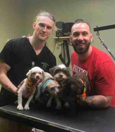 dog rescue new jersey