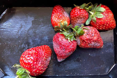 moldy strawberries