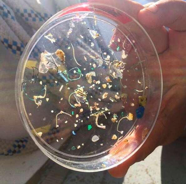microplastics ocean the swim