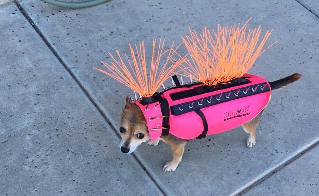 Anti-Coyote Dog Vest