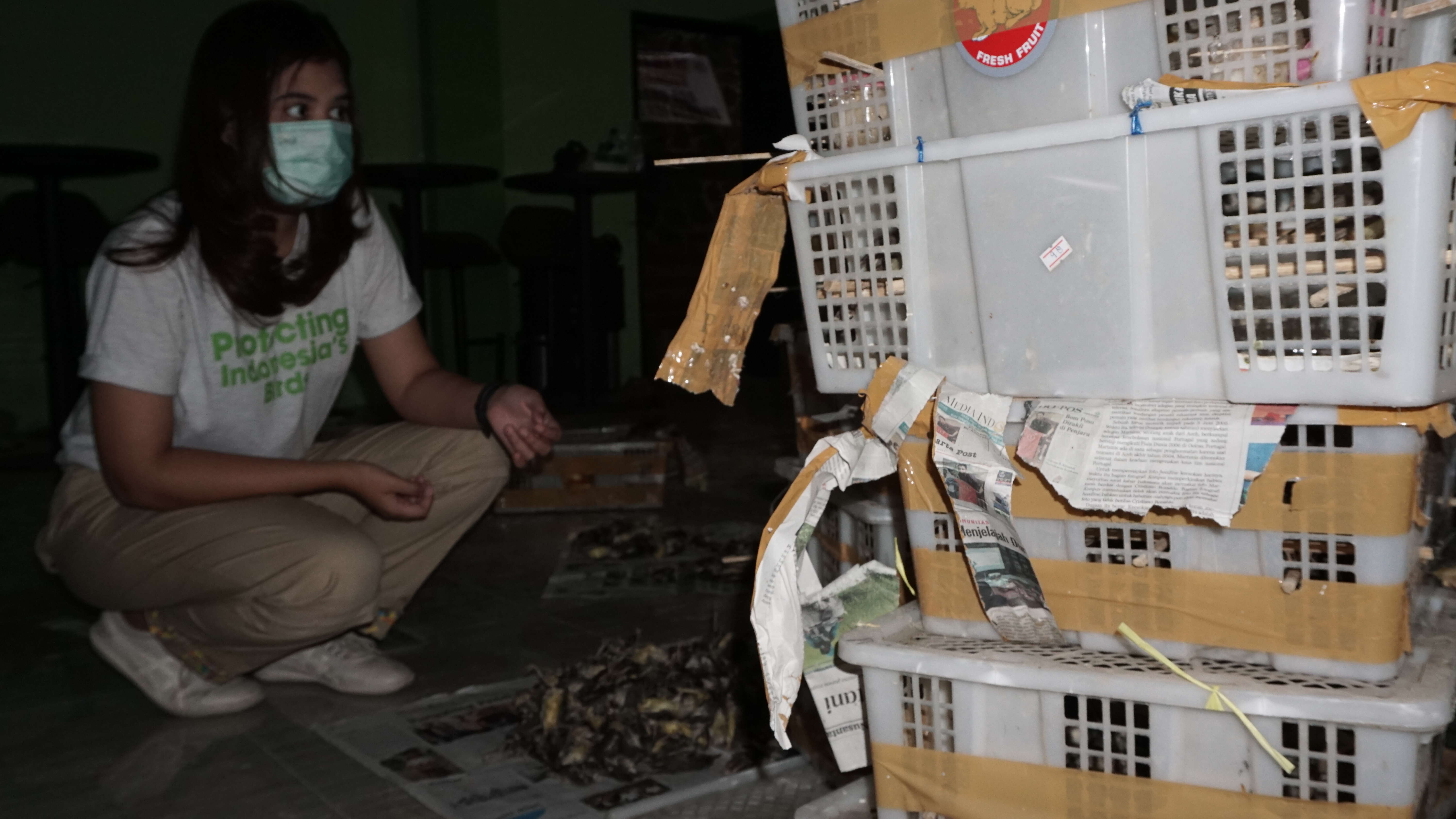 Woman with cages of confiscated birds