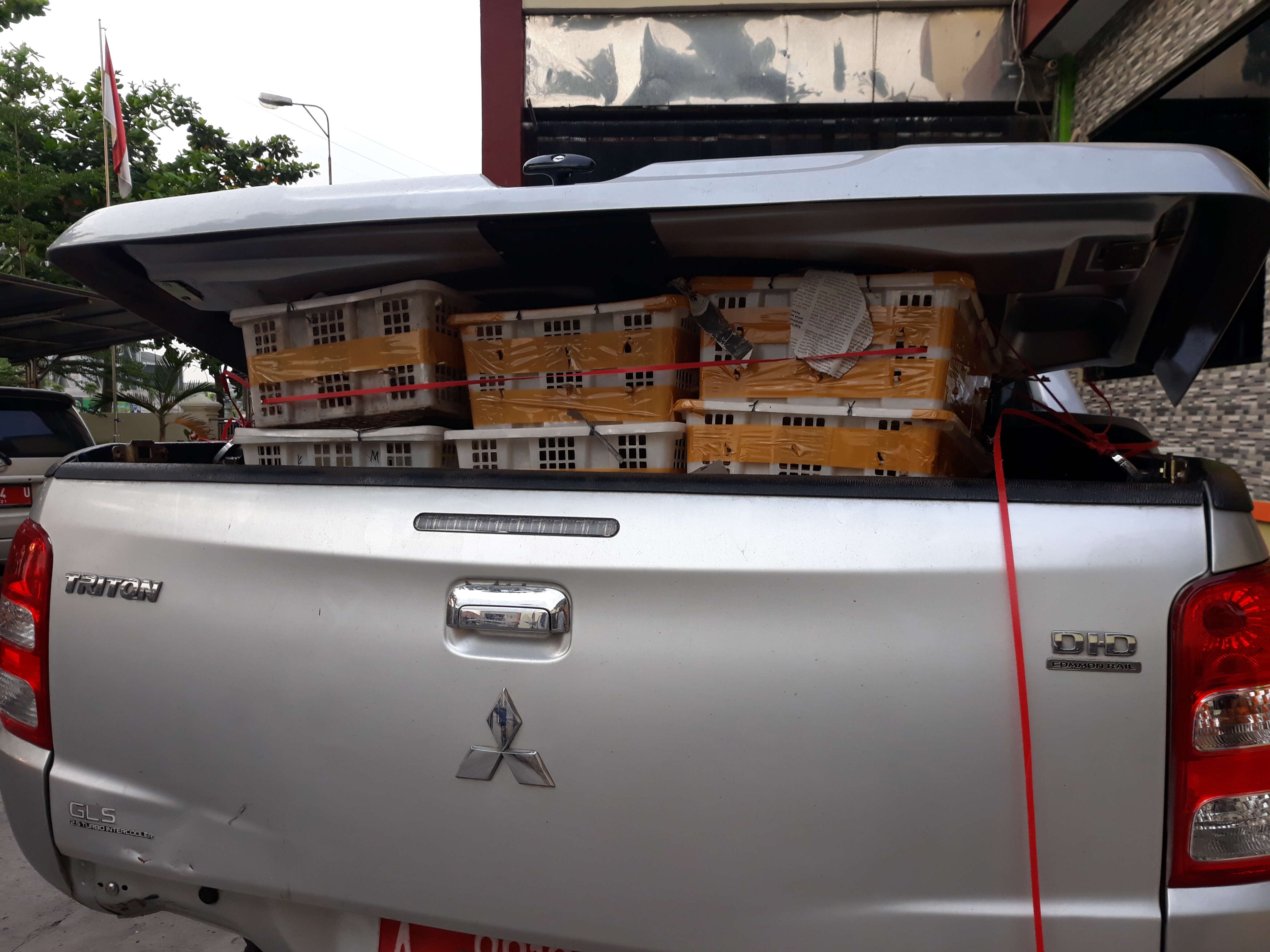 Bird cages in back of truck