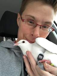 The Sad Truth About Where Wedding Doves Can End Up After Flying