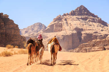 camel caravan Jordan