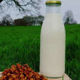 Ancient African Tradition Inspires New Vegan Milk