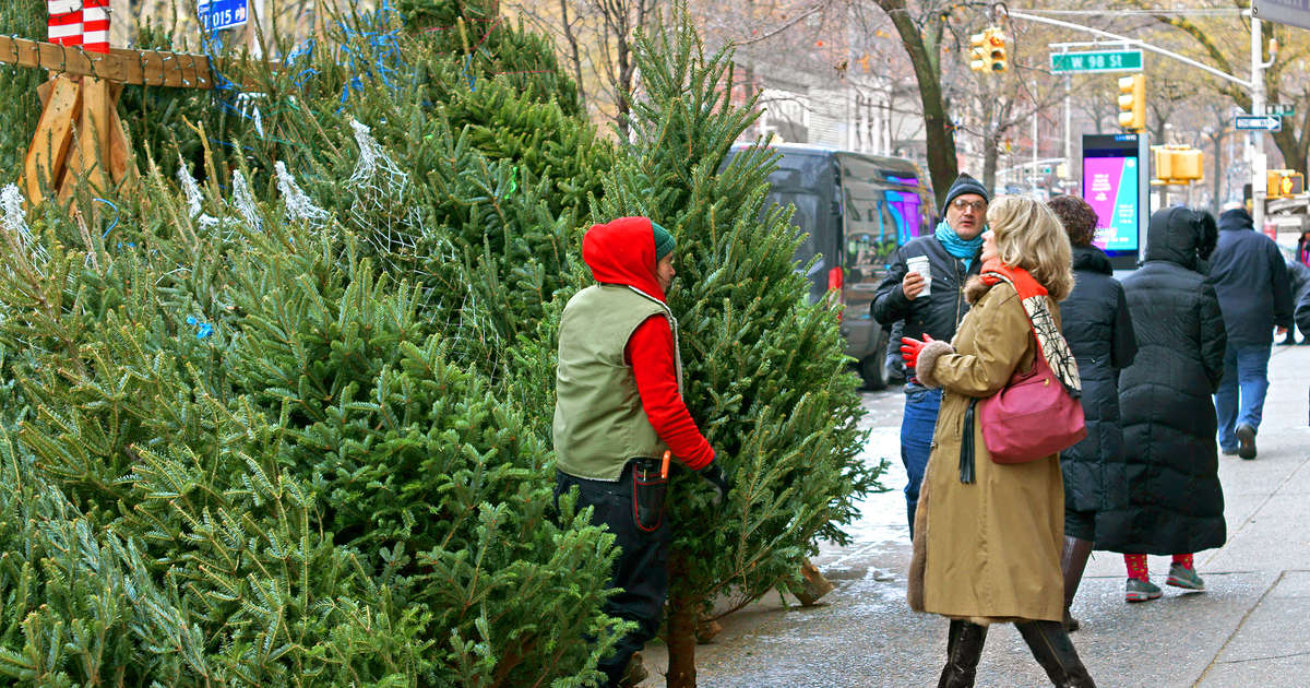 Christmas Trees in NYC Where & How to Find the Perfect Christmas Tree