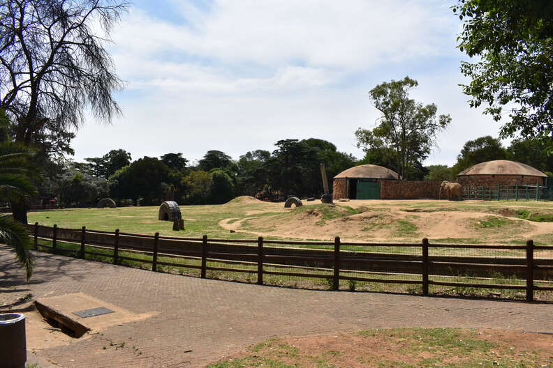 Enclosure at zoo for elephant