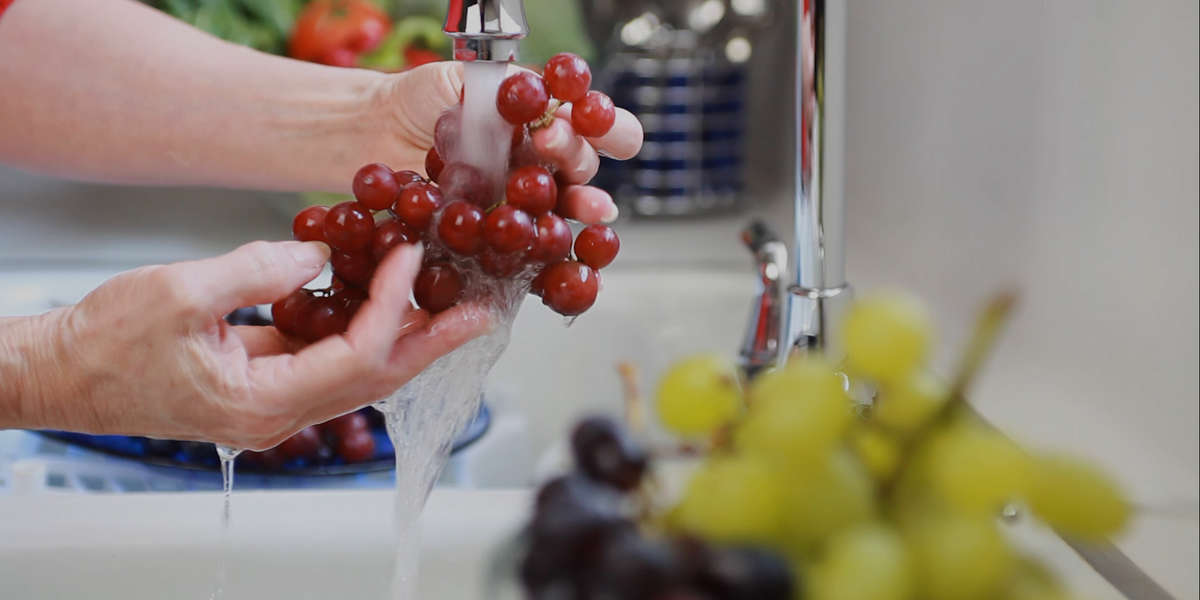 There's A Vegan Support Group - Videos - NowThis