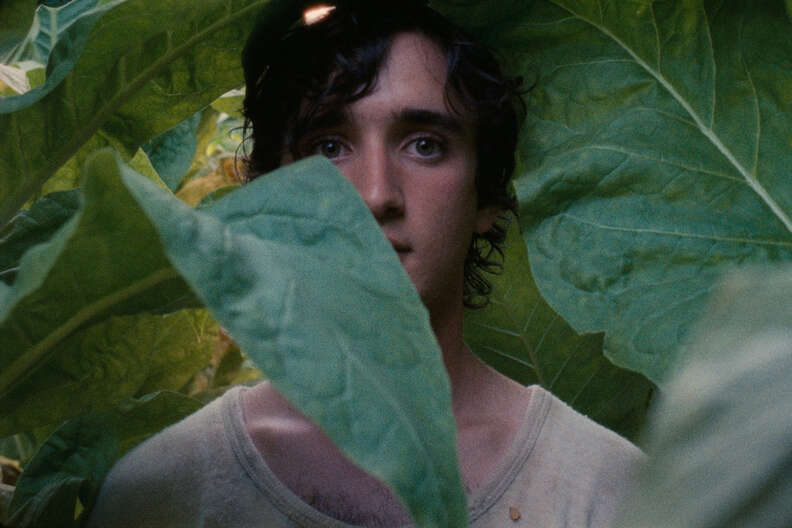 happy as lazzaro