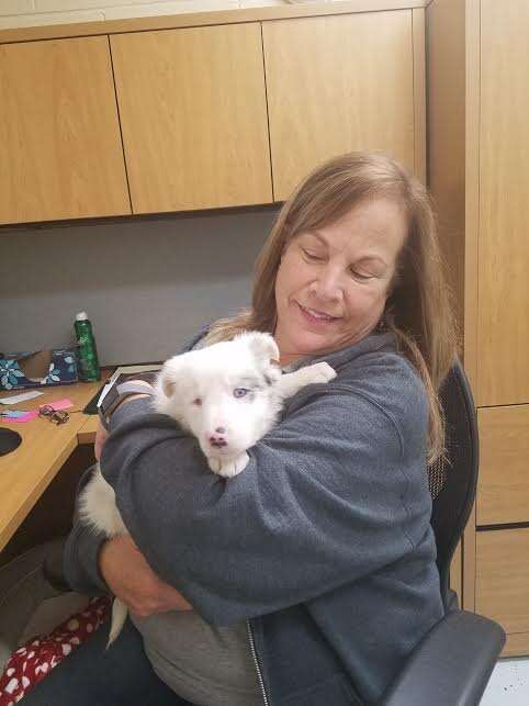 Woman holding white puppy in her arms