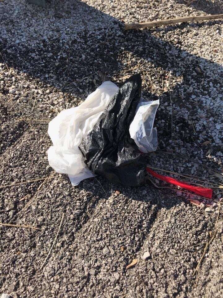 Plastic bags that were used to dump a puppy