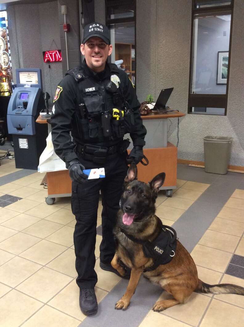 Police dog wearing shoes sale