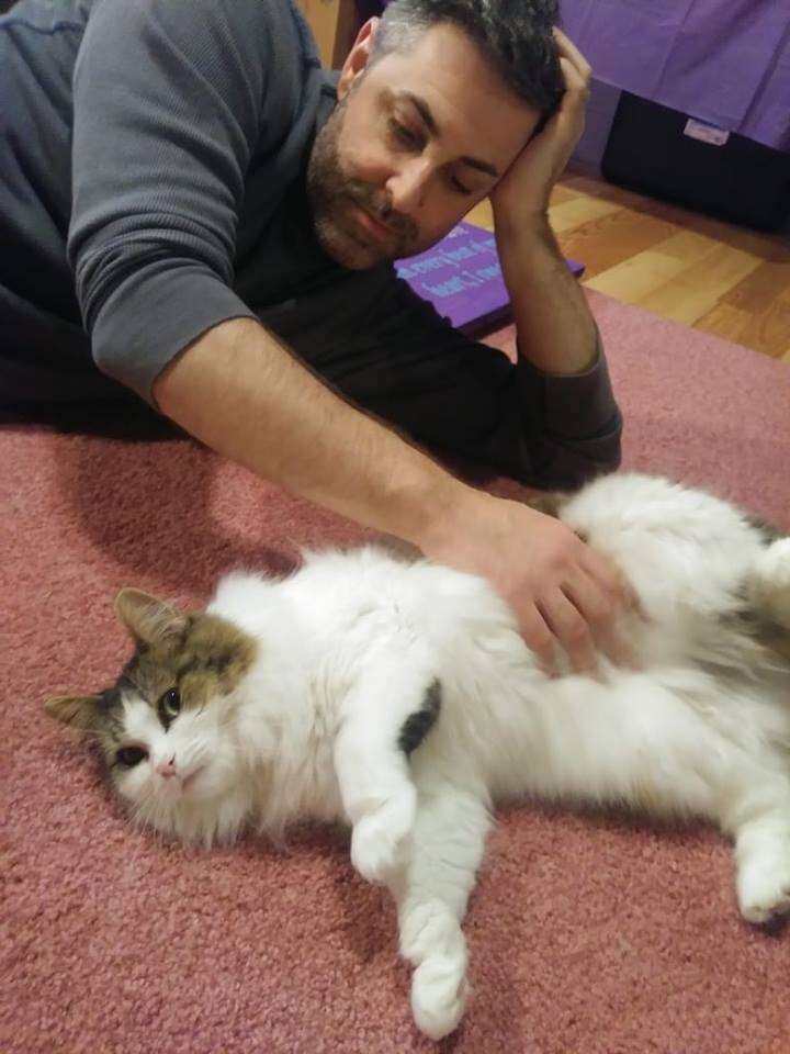 Man giving cat belly rubs