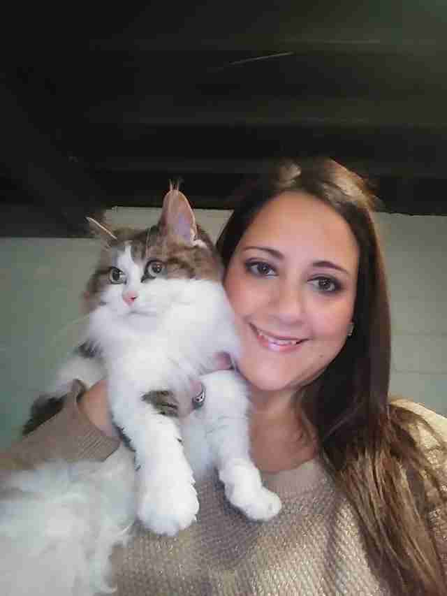 Cat sitting on woman's shoulder