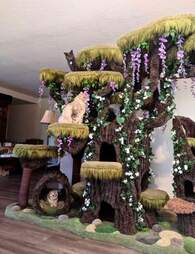 Family Of Cats Gets The Most Beautiful Cat Tree In The World The