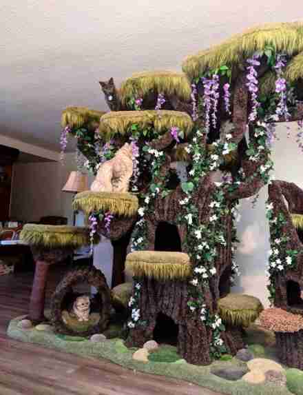 Cat Tree That Looks Like A Tree - All You Need Infos