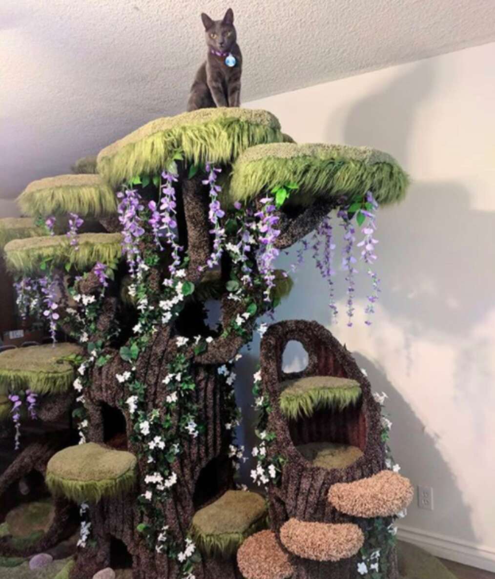 Family Of Cats Gets The Most Beautiful Cat Tree In The World - The Dodo