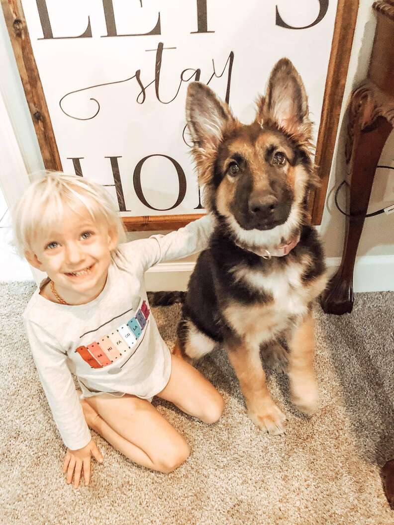 german shepherd and baby sleeping