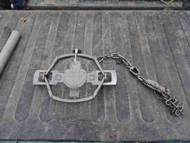 padded leghold trap