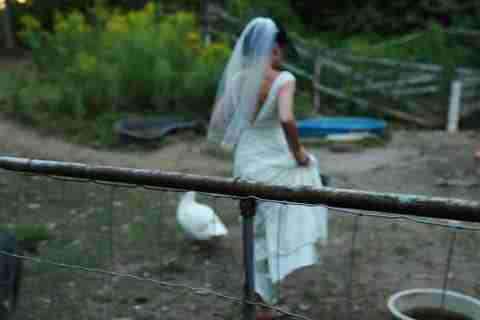 Bride running off to feed rescue animals