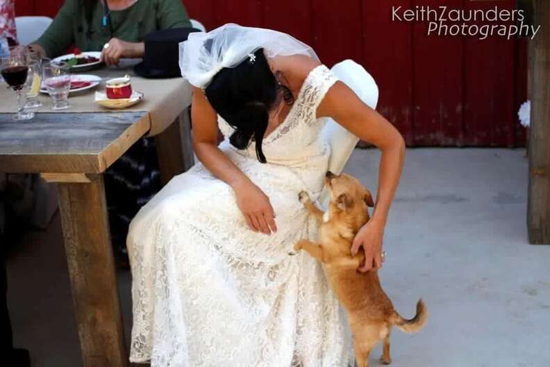 Bride with dog