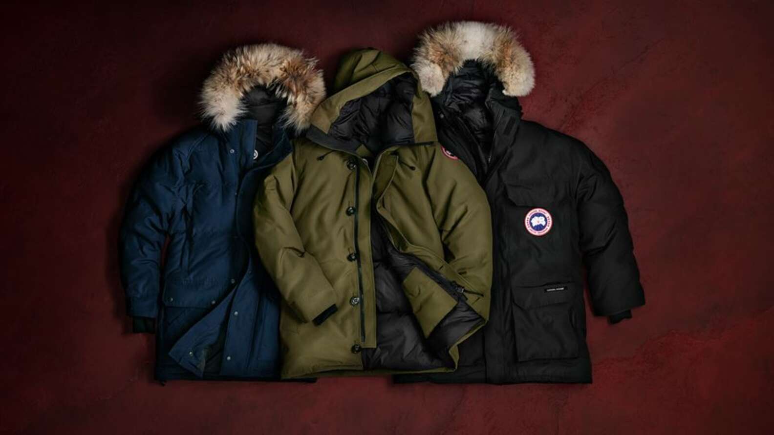 Animals Are Suffering To Make Popular Canada Goose Jackets The Dodo