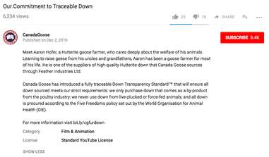 Screenshot from YouTube listing information