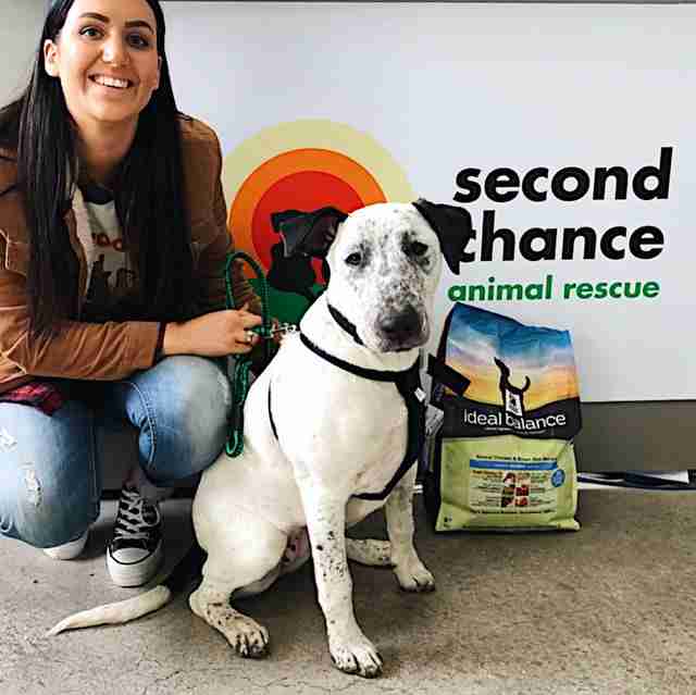 Lola gets adopted from Second Chance Rescue in Australia