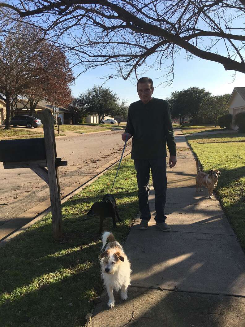 14 year old lab rescued