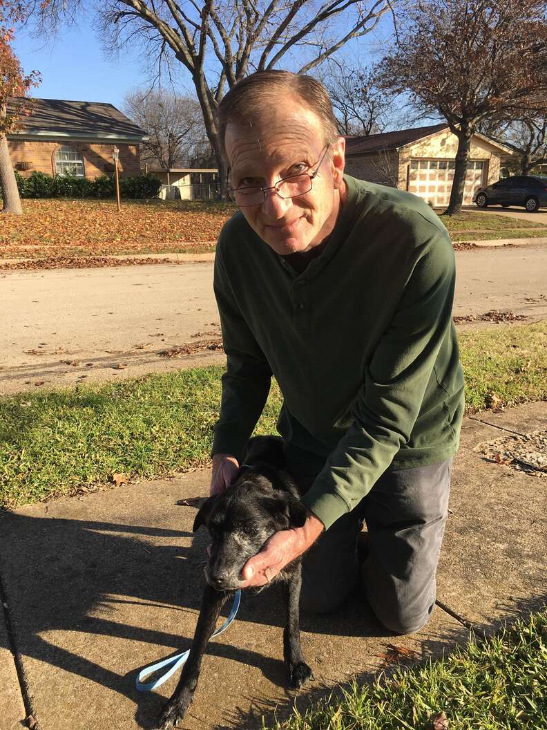 Sweet 14-Year-Old Shelter Dog Gets Adopted Just In Time For Christmas