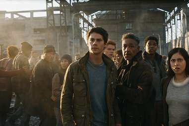 the death cure