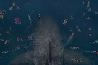 the meg