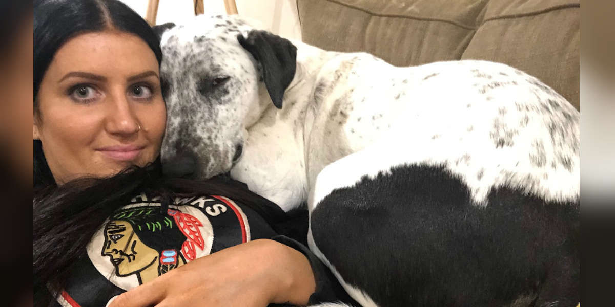 Puppy Returned To Shelter Twice Finds A Family To Love Her - The Dodo