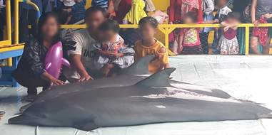 Family posing with dolphins out of water