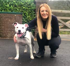 dog rescue snoop uk
