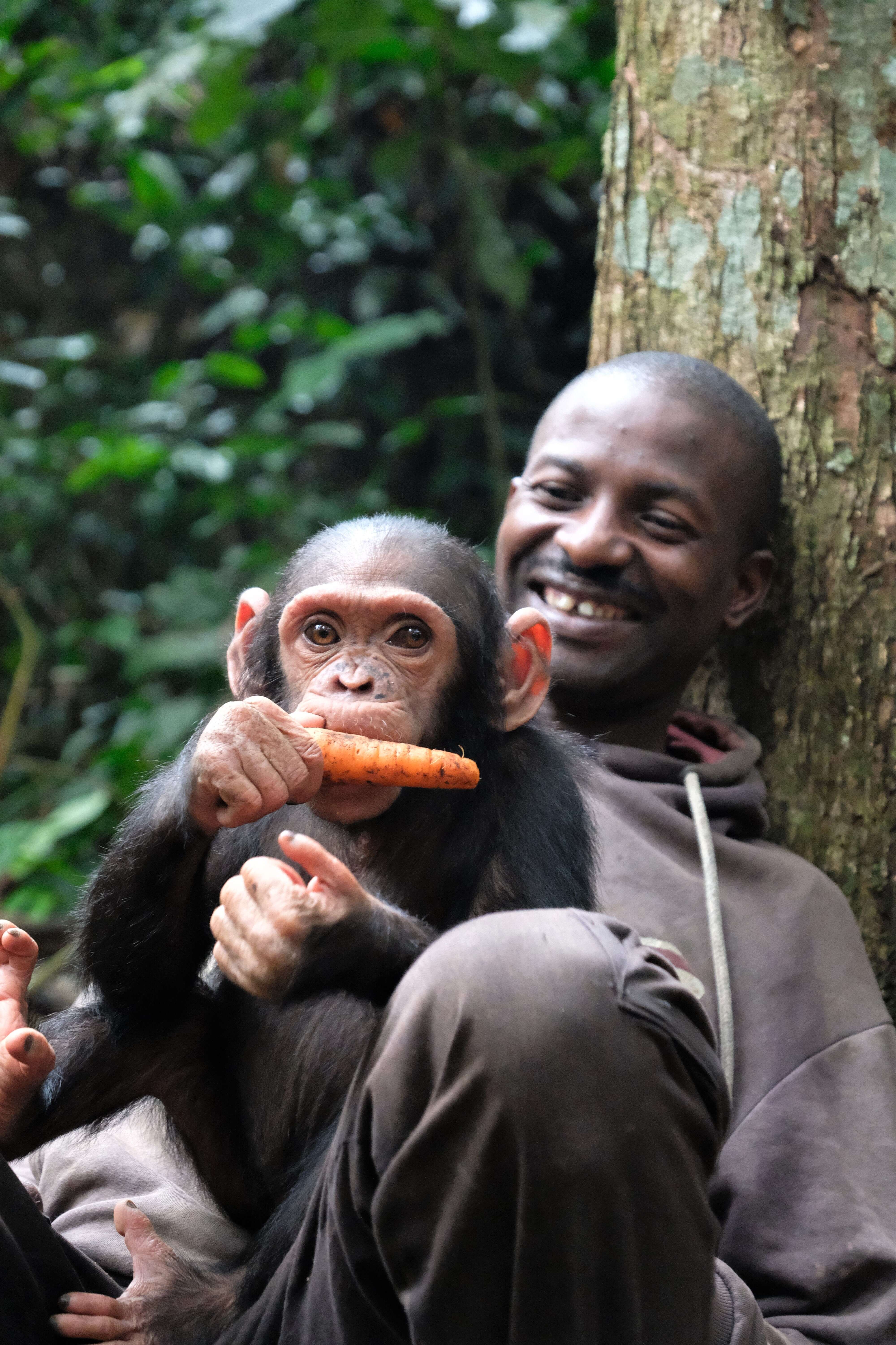 Smiling caregiver with rescued chimp