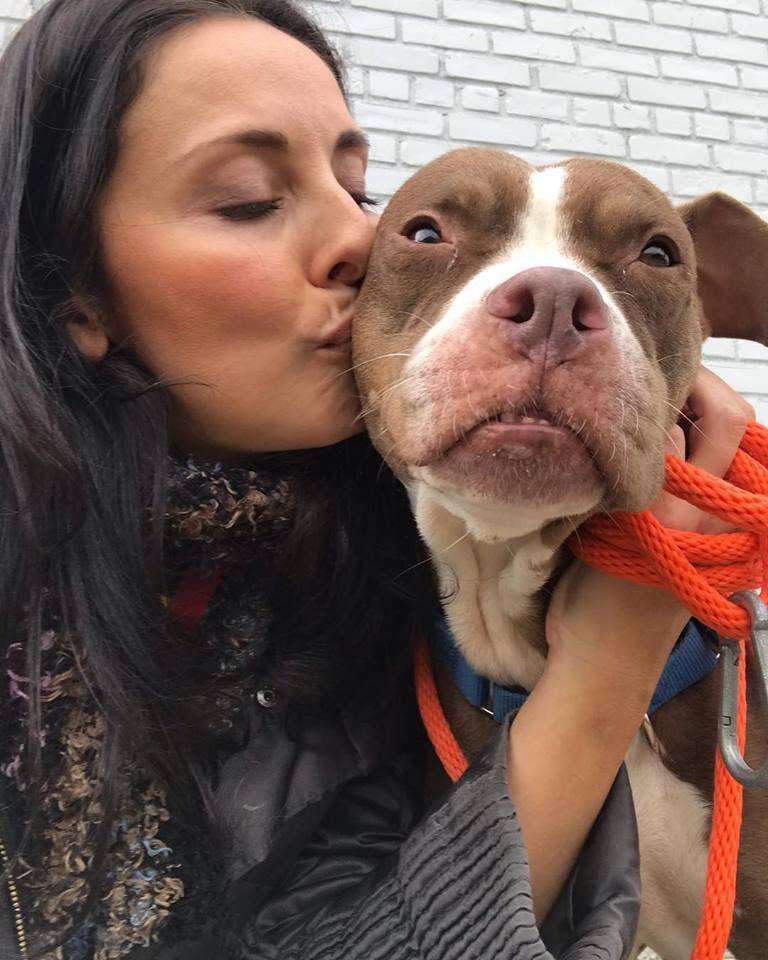 Woman kissing shelter dog